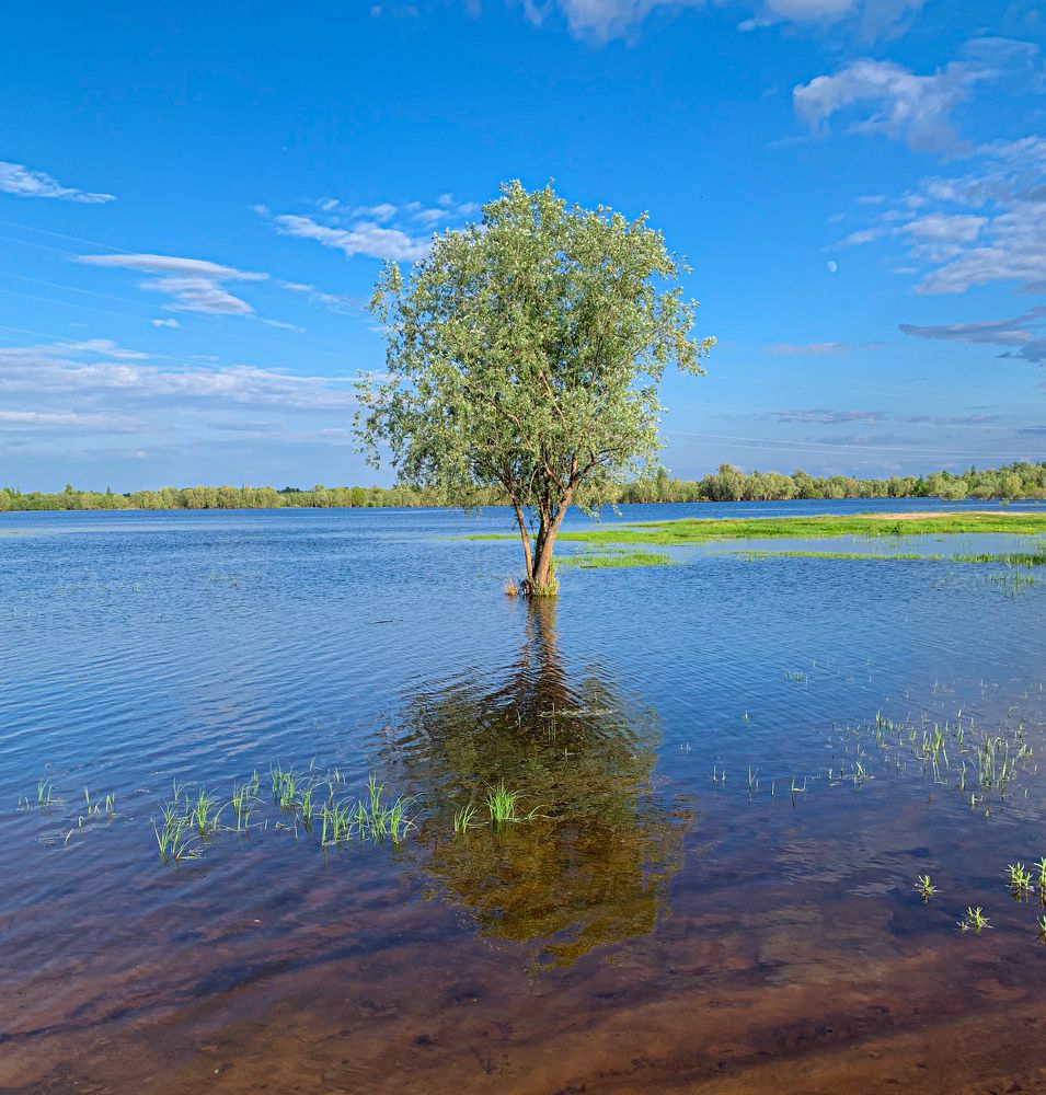 Photograph by Оксана