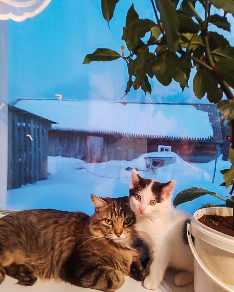 Photograph by Оксана Подъельская