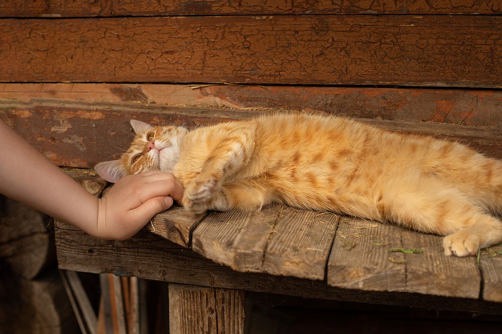 Photograph by Ольга Потачева