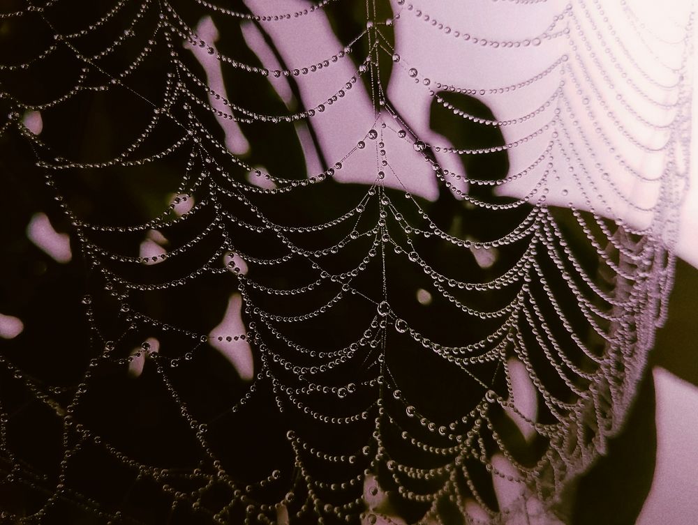 Photograph by Sumeet Kumar