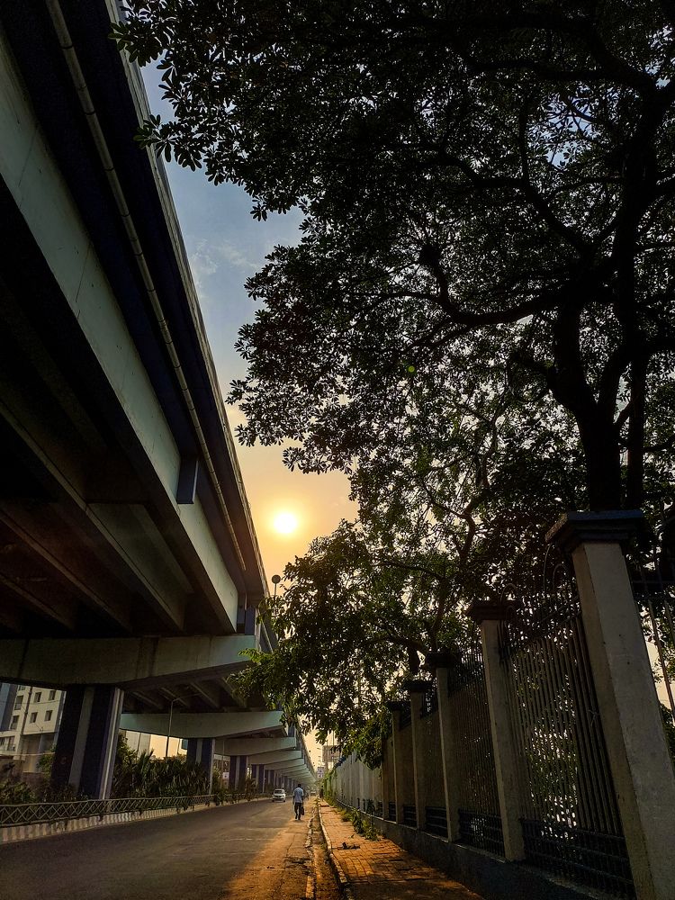 Photograph by Soumya Seal