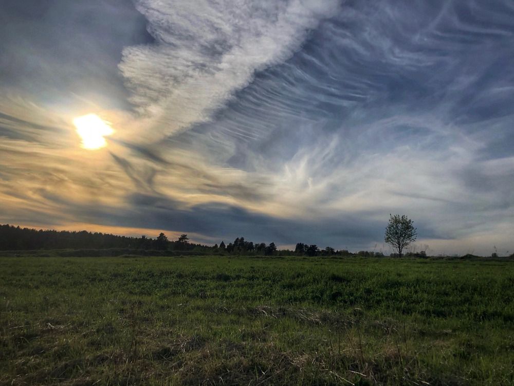 Фотография автора Светлана Терехова