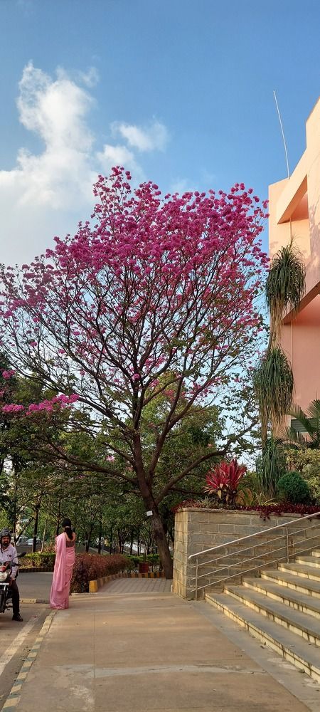 Photograph by Pradyumna K P