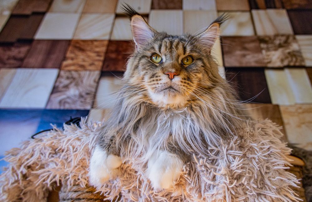 Фотография автора Юрий Боца