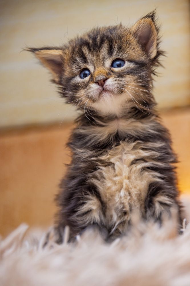 Фотография автора Юрий Боца