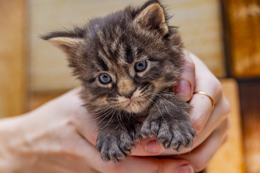 Фотография автора Юрий Боца