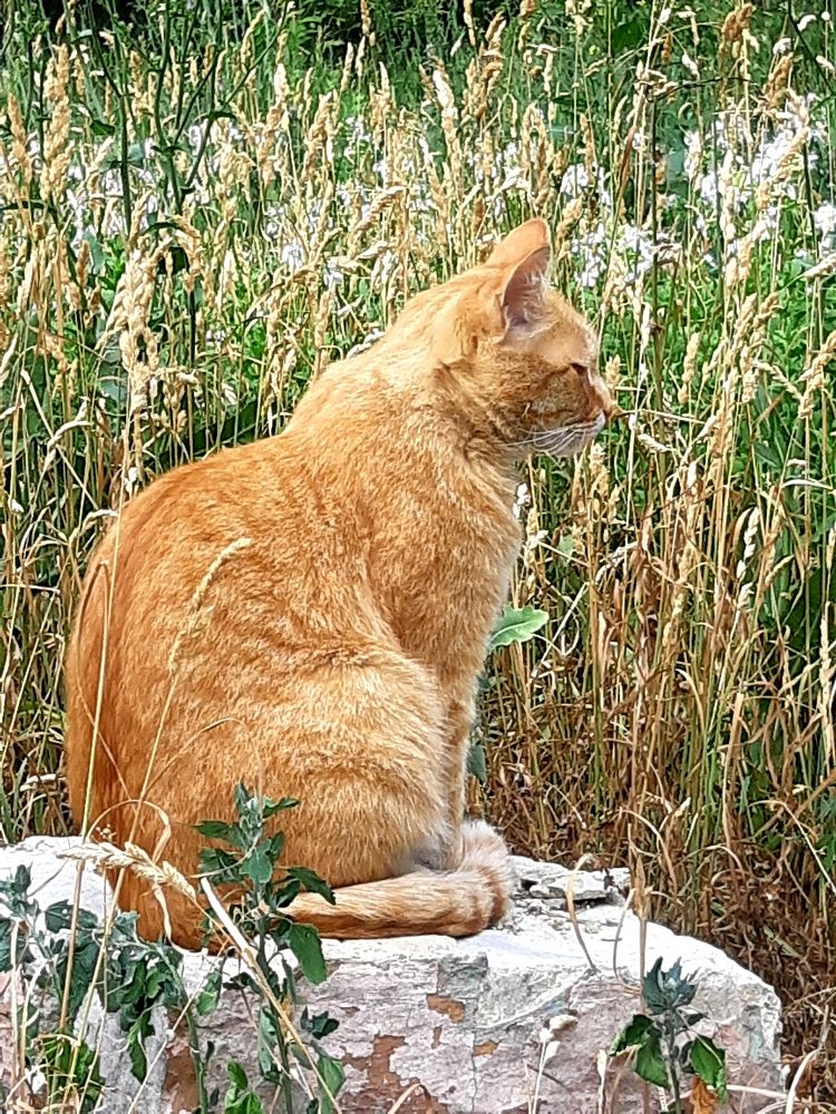 Photograph by Olga Александрова