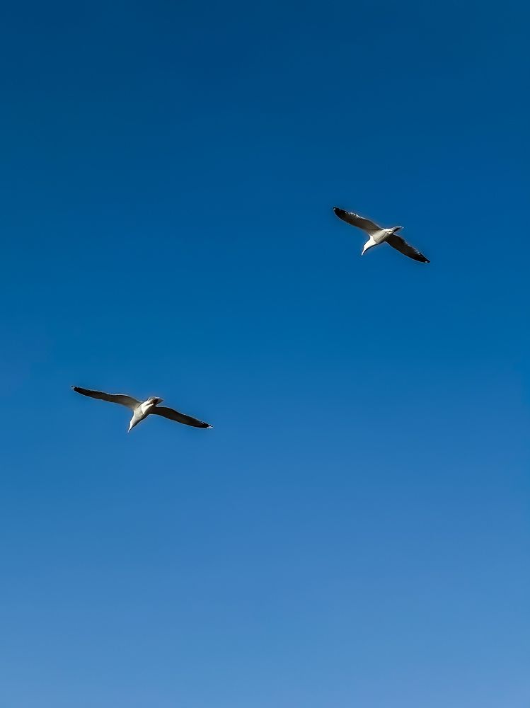 Фотография автора Асель Кузетова