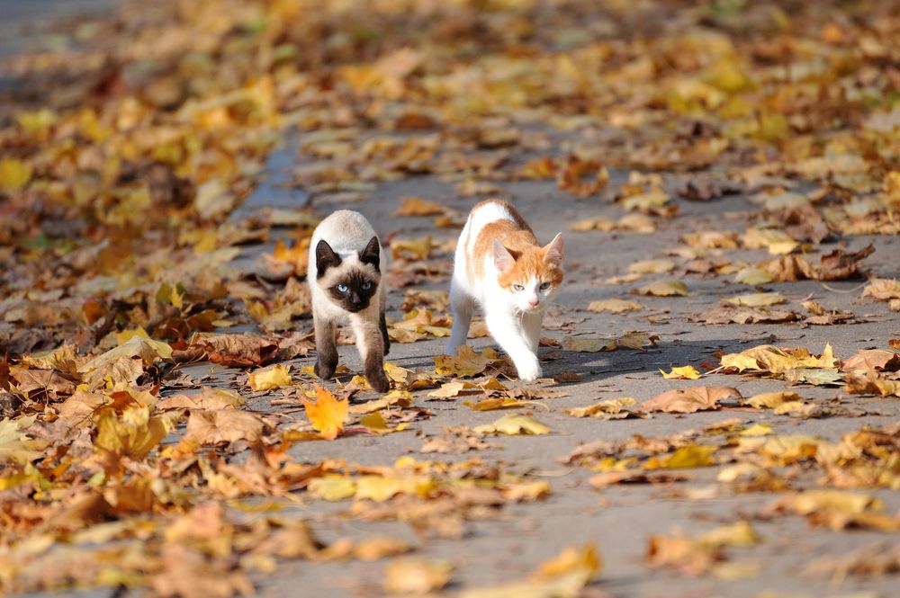 Photograph by Юрий Яковлев