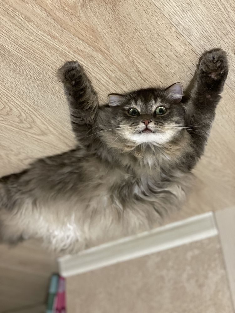 Photograph by Алина Щекотова