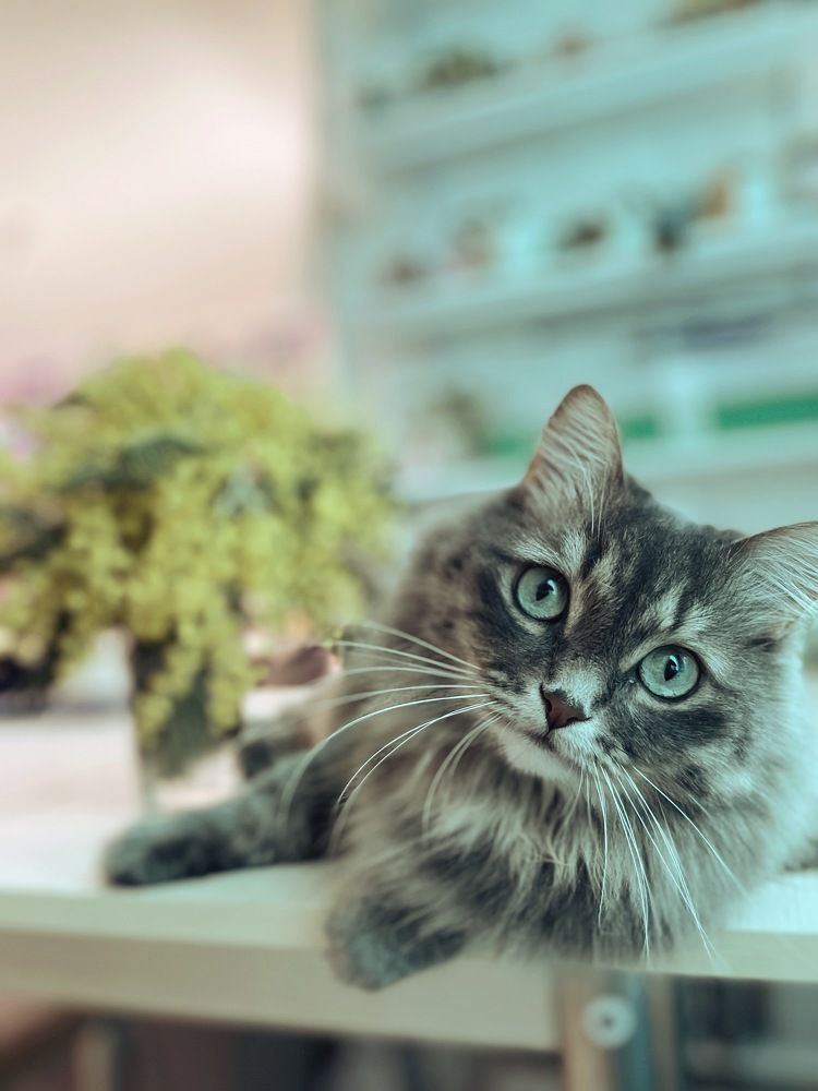 Photograph by Алина Щекотова