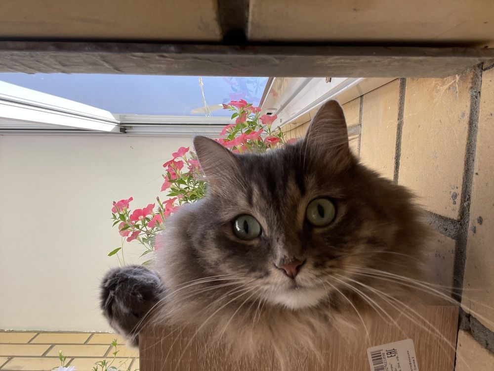 Photograph by Алина Щекотова