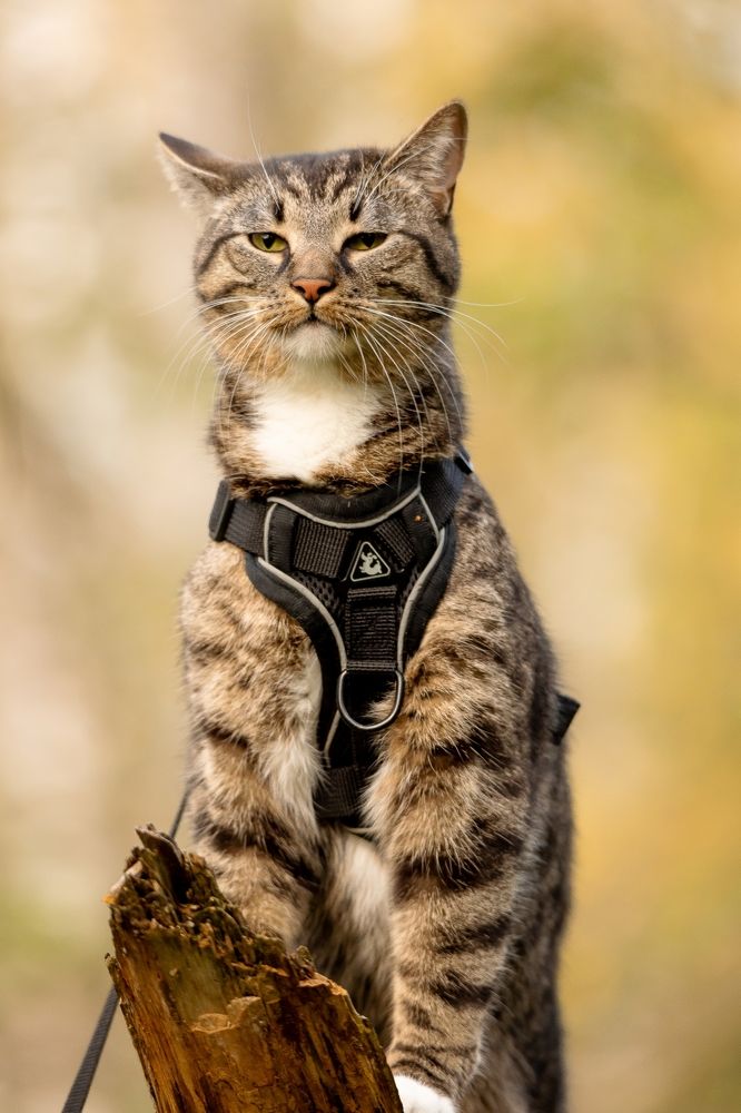 Photograph by Александр Белов