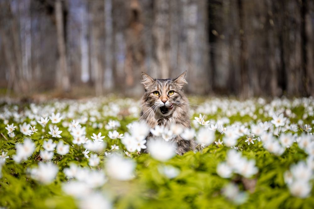 Photograph by Александр Белов