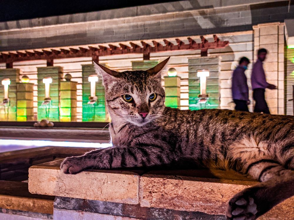 Фотография автора Asad Ali