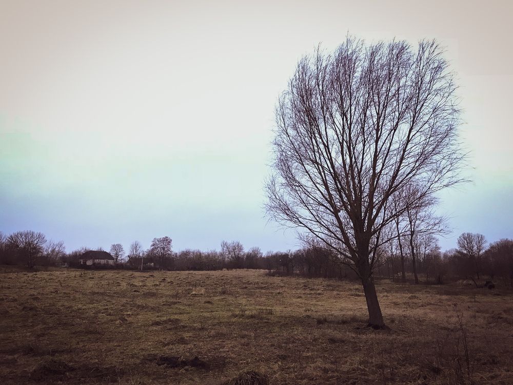 Photograph by Бойко Сергей