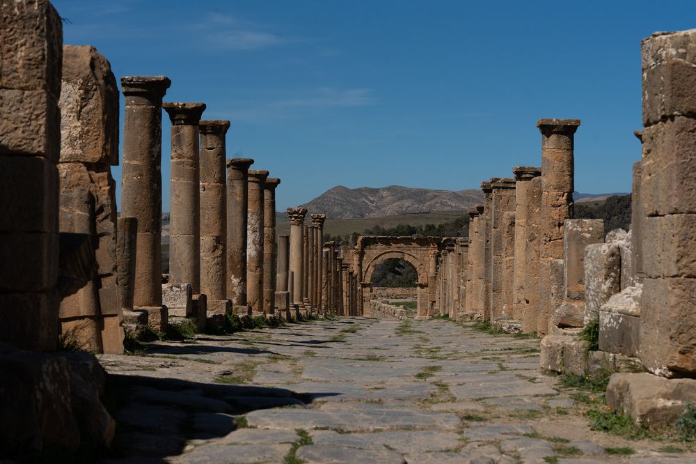 Фотография автора Светлана Зимина