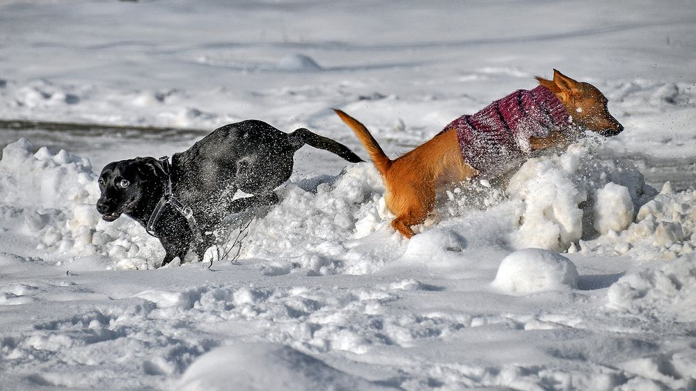 Разошлись пути