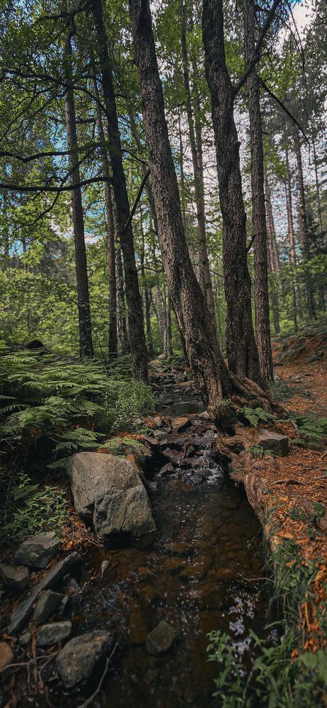 Photograph by Павел Ермилов