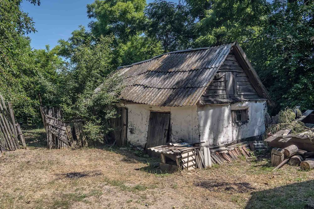 Photograph by Евгений Киселев