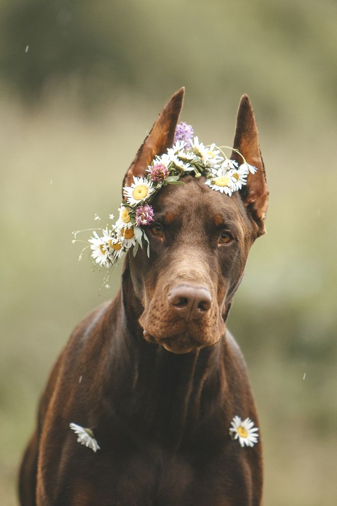 Photograph by Мария Клещенко