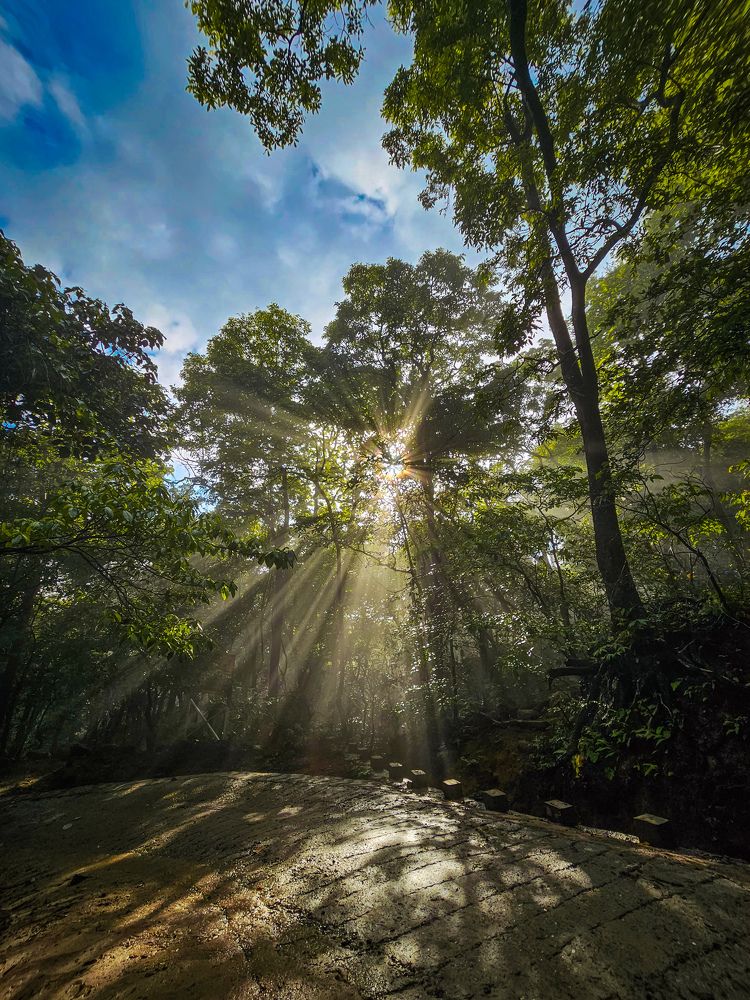 Фотография автора gaurav korgaonkar