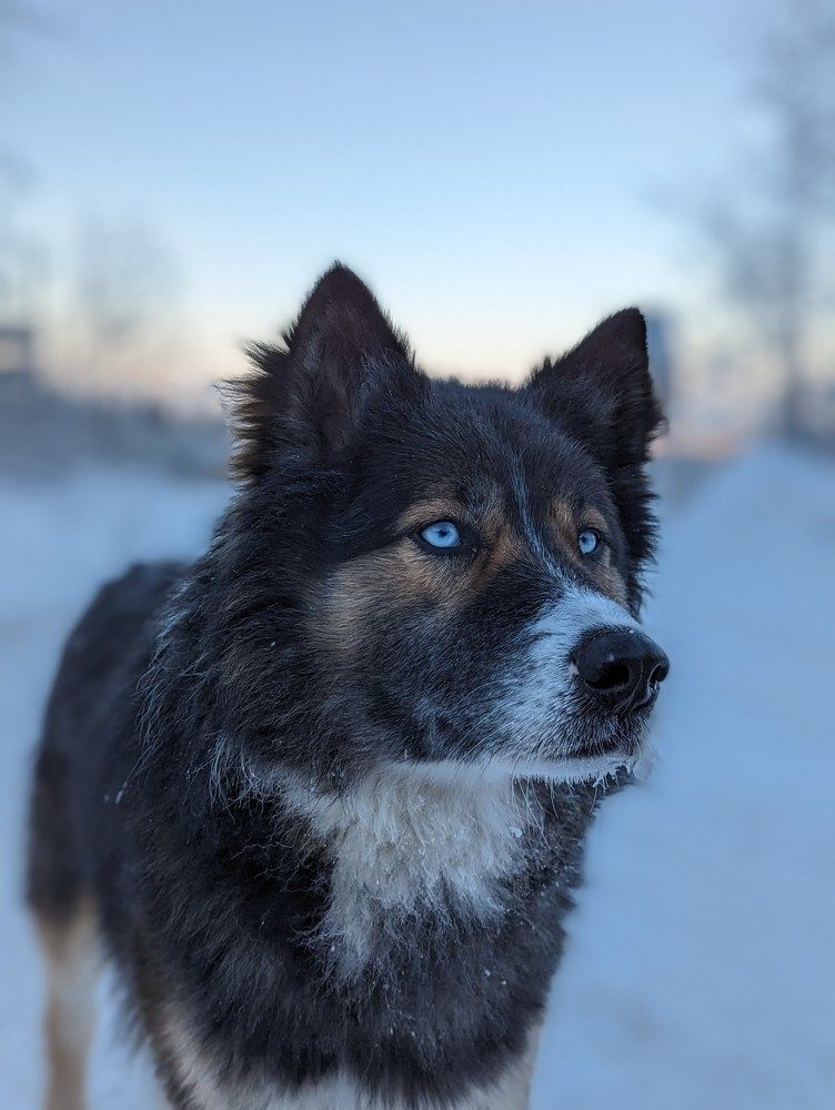 Photograph by Андрей Гусаров