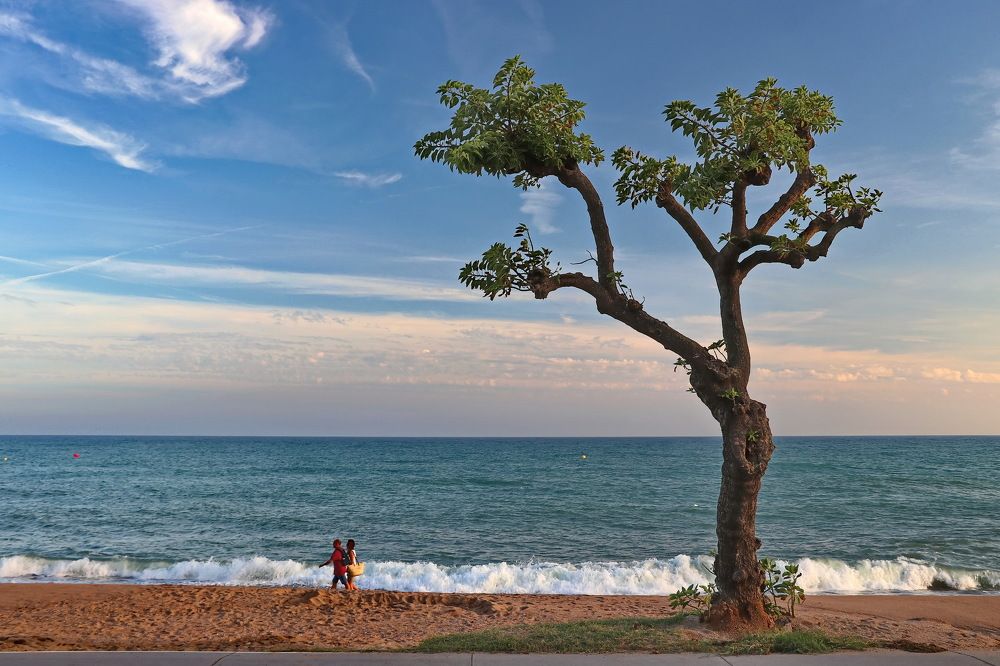 Испания, пляж Пинеда, Каталония.