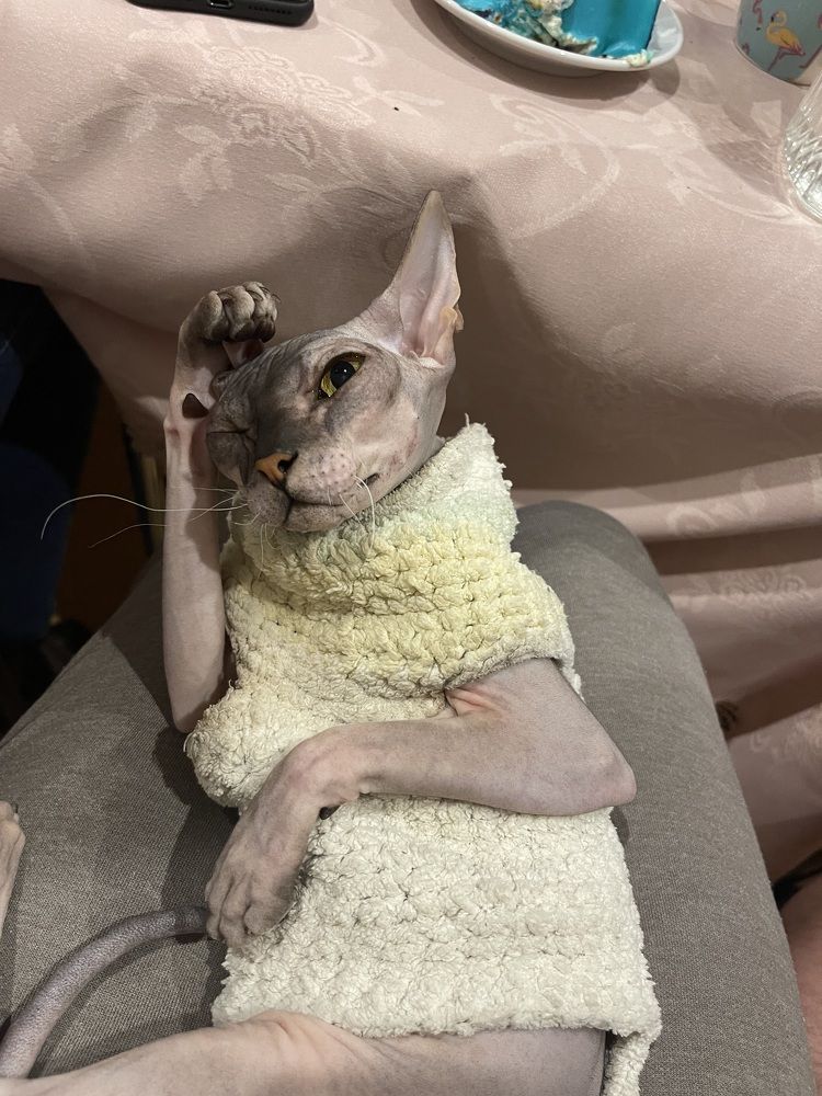 Photograph by Юлия