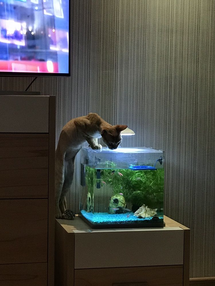 Photograph by Юлия