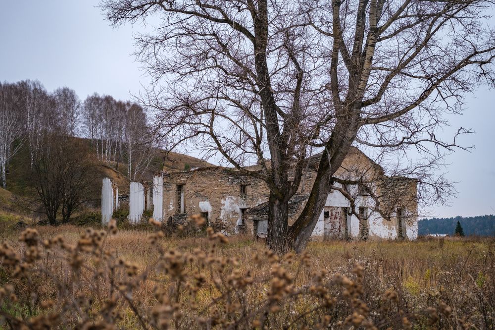 Photograph by Ольга Тюрина