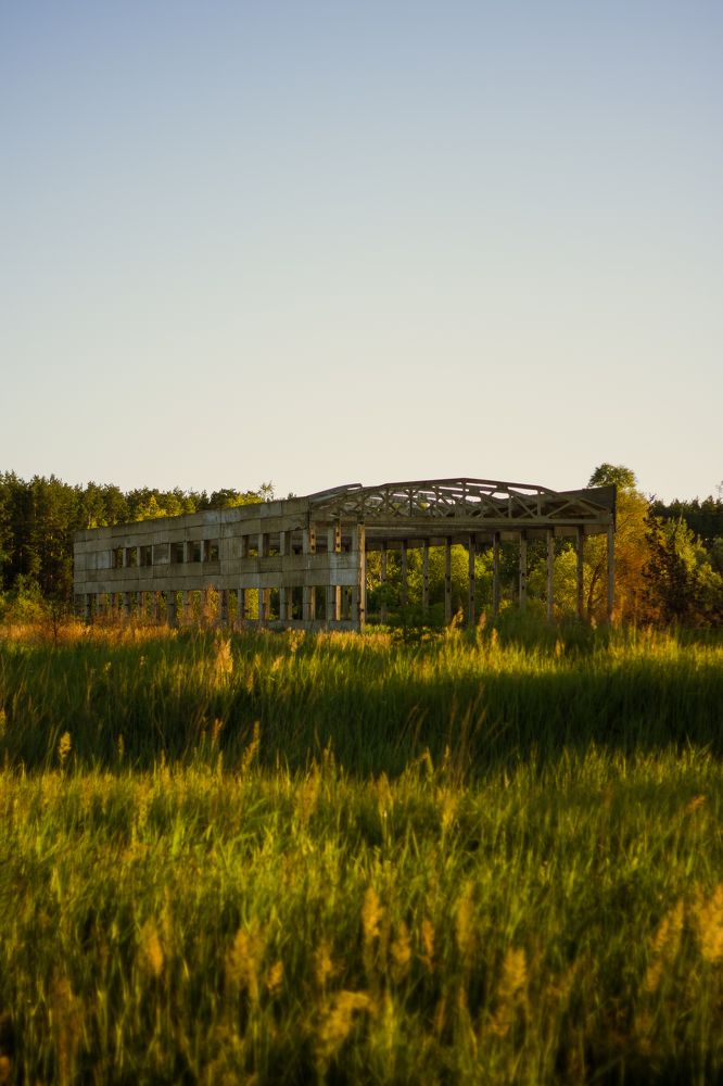 Фотография автора Софья Алексеева