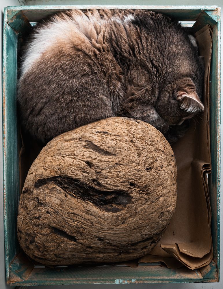 Photograph by Константин Пешков