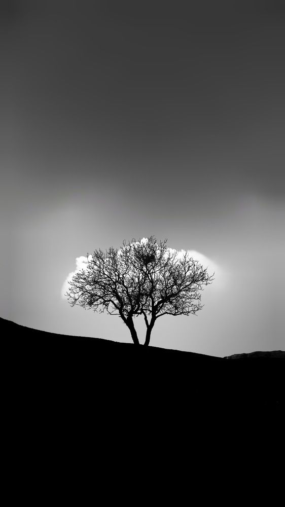 Photograph by MMD HORANFAR