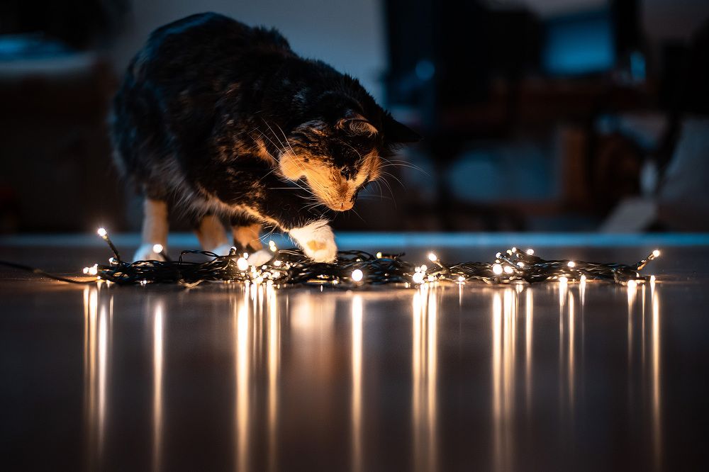 Photograph by Lucie Mojžíšová