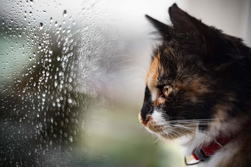 Photograph by Lucie Mojžíšová