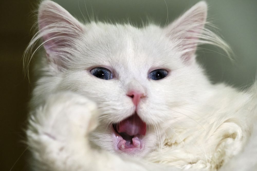 Photograph by Руслан Ибрагимов