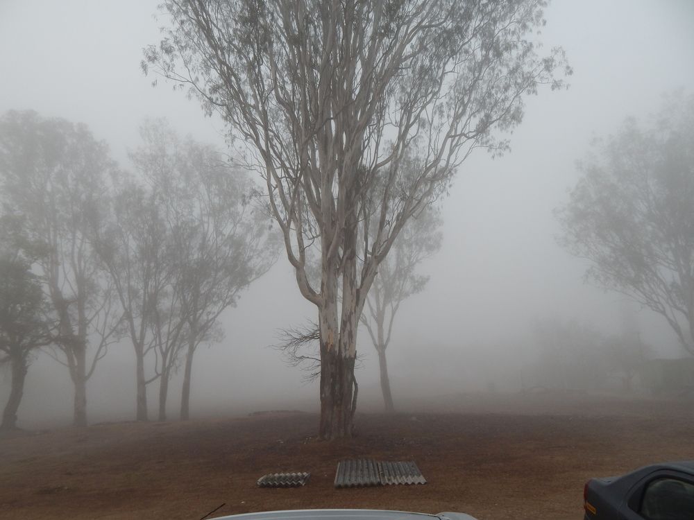 Photograph by Pradyumna K P