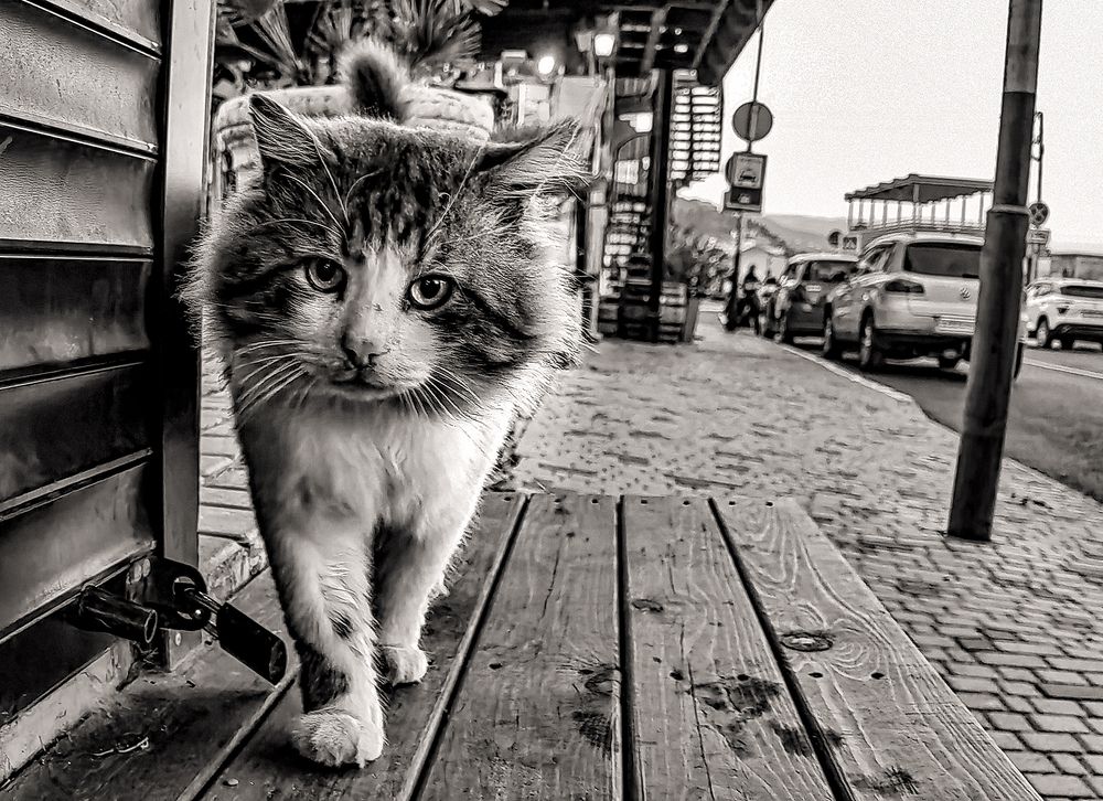 Photograph by Алексей Окунеев