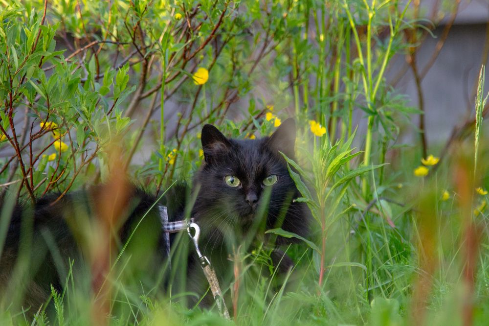 Photograph by Алина Быстрова