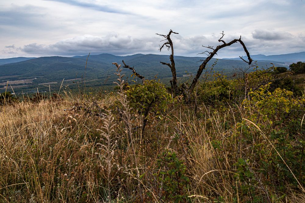 Photograph by Анатолий Мигов