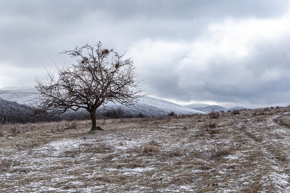 Photograph by Анатолий Мигов