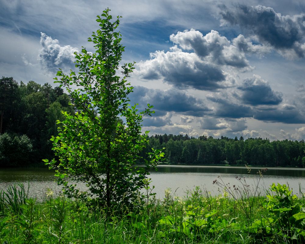 Фотография автора 