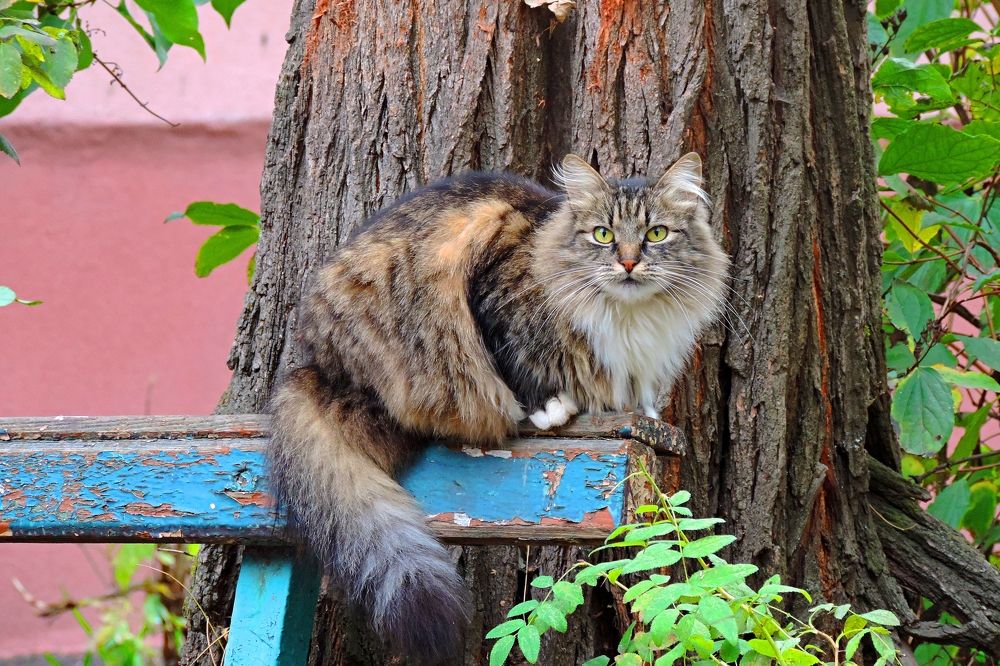 Photograph by Мария Широких