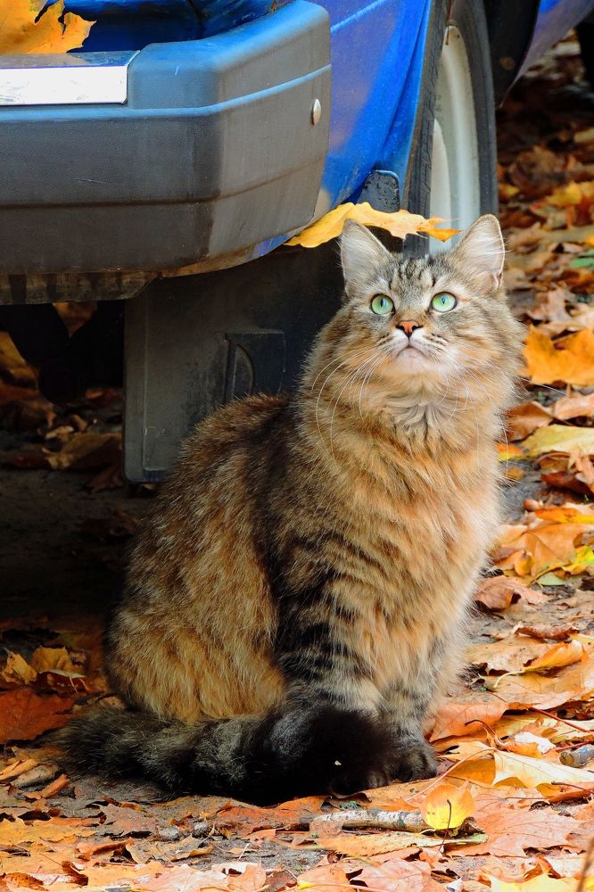 Photograph by Мария Широких