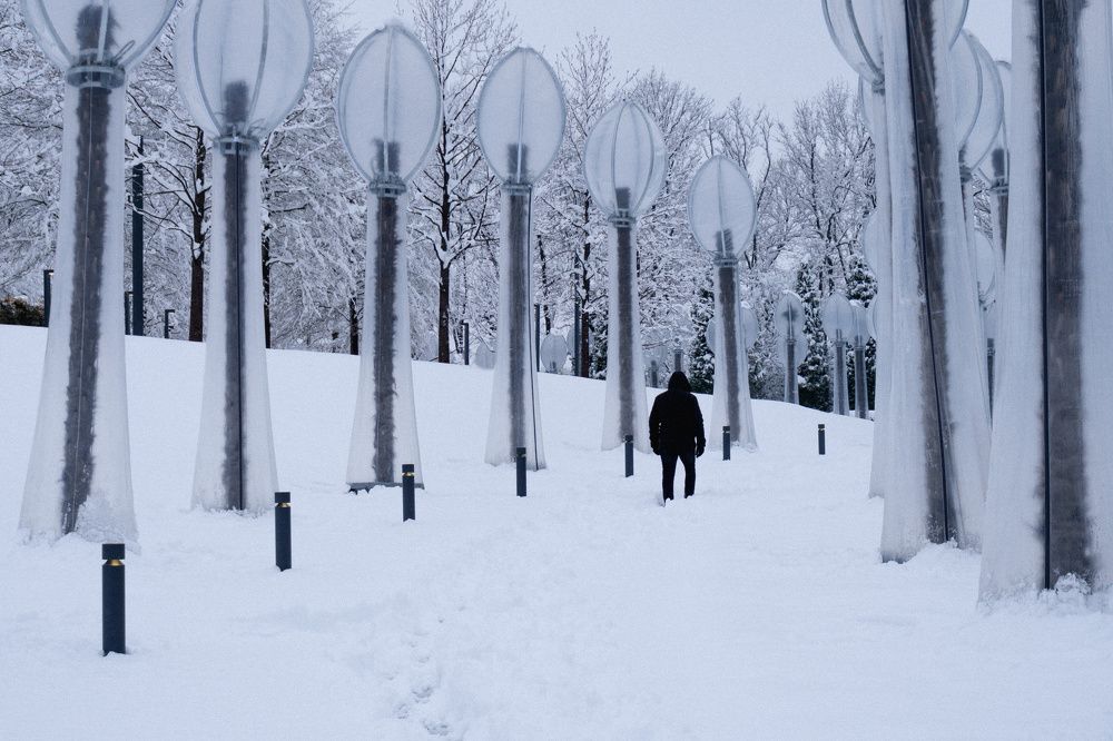 Photograph by Елена Шевченко