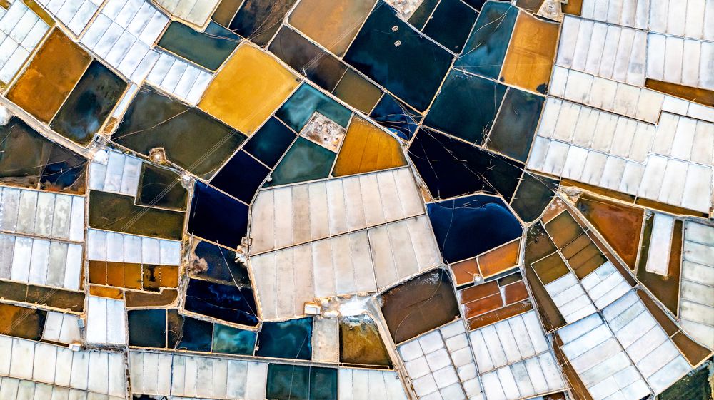 Photograph by Dattae