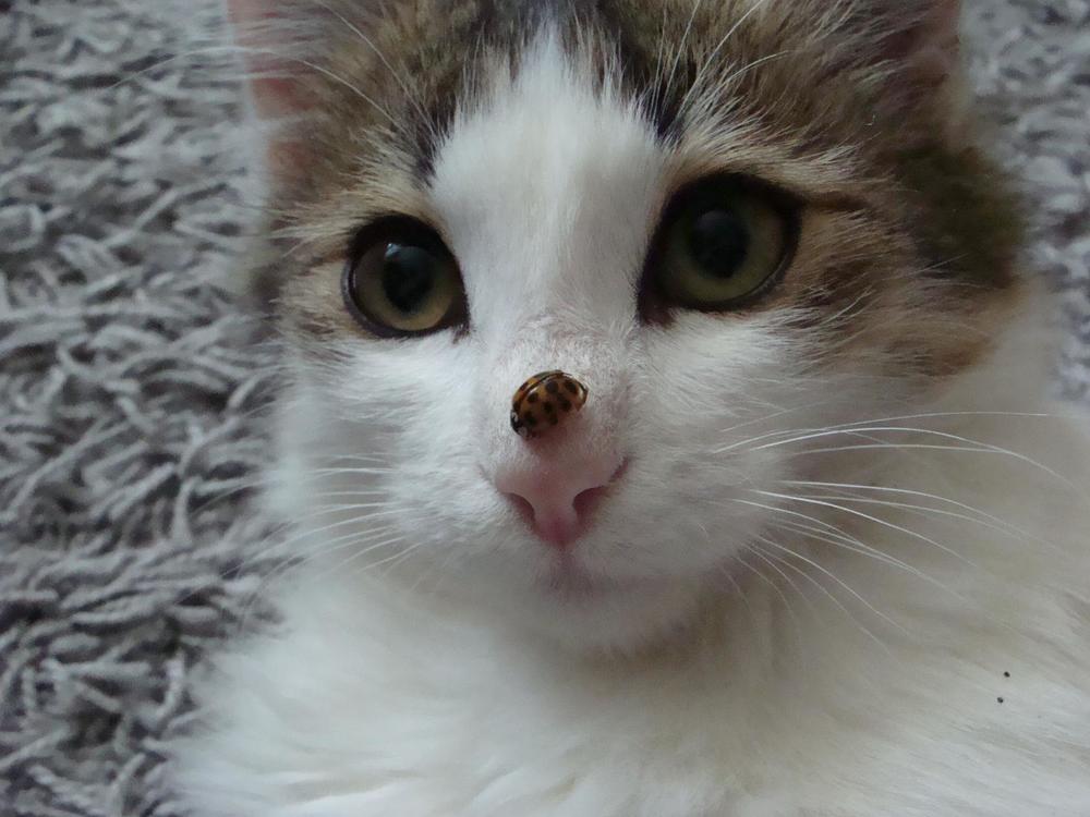 Фотография автора Павел Попов