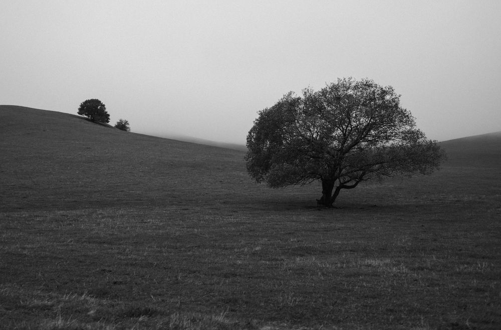 Photograph by Елена Шевченко