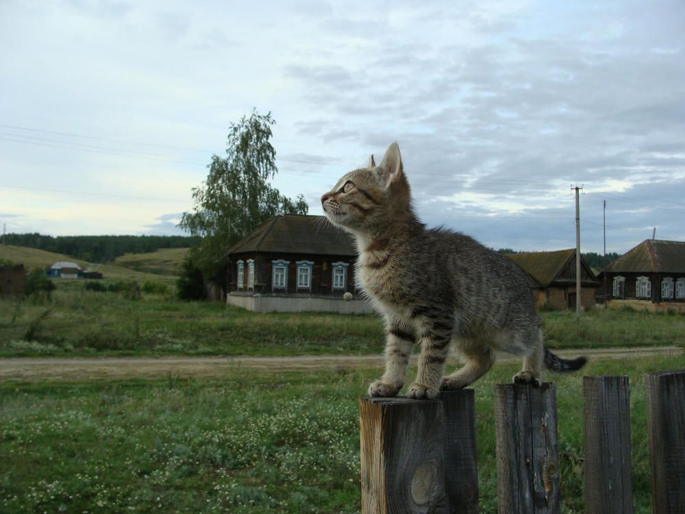 Фотография автора Павел Попов